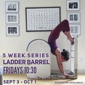 Ladder Barrel Virtual Online Pilates Class