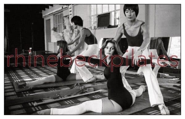 Vintage 1976 Kim Lee Photos Priscilla Mat Stretch Print