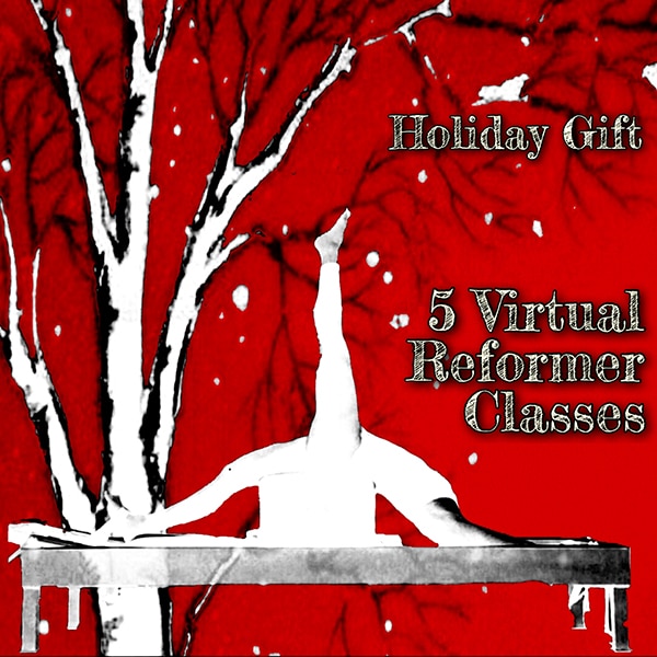 Rhinebeck Pilates Gift Package - 5 Virtual Reformer Classes